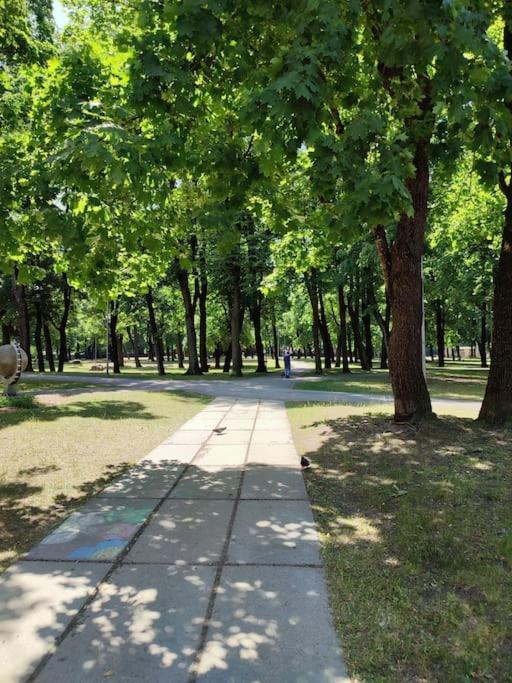уютный лофт среди старых парков Appartamento *